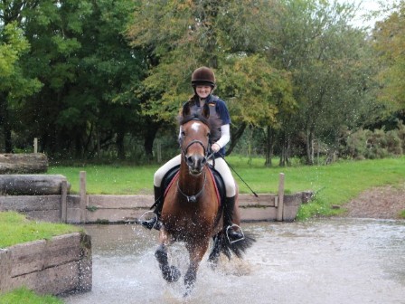 Riding in the New Forest 